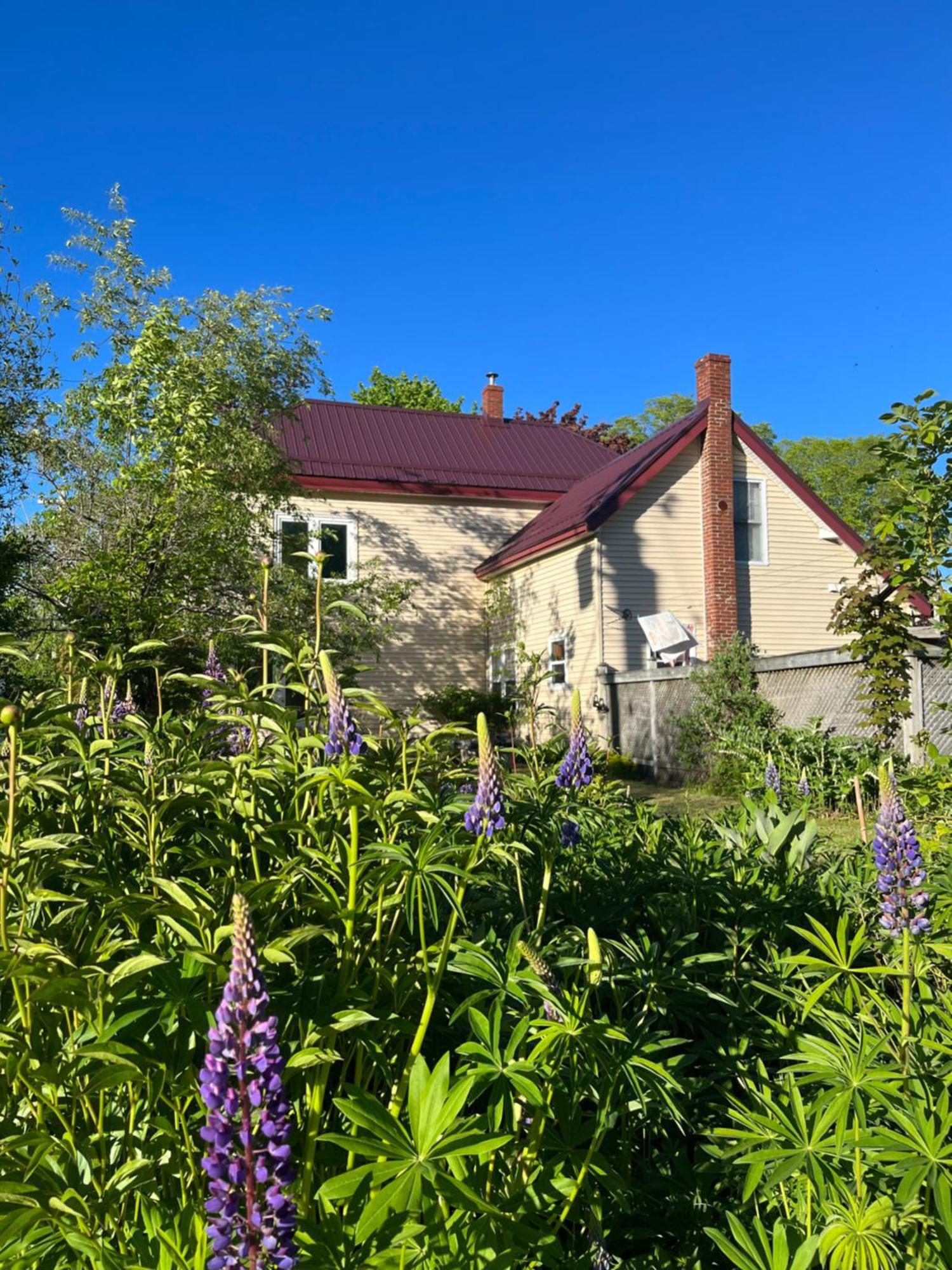 B&B Art Of Germany Caledonia Dış mekan fotoğraf